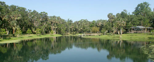 Gemini Springs sinkhole in DeBary to be filled.