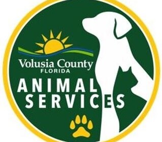 Volusia County Animal Services celebrates 50,000 surgeries in landmark achievement.