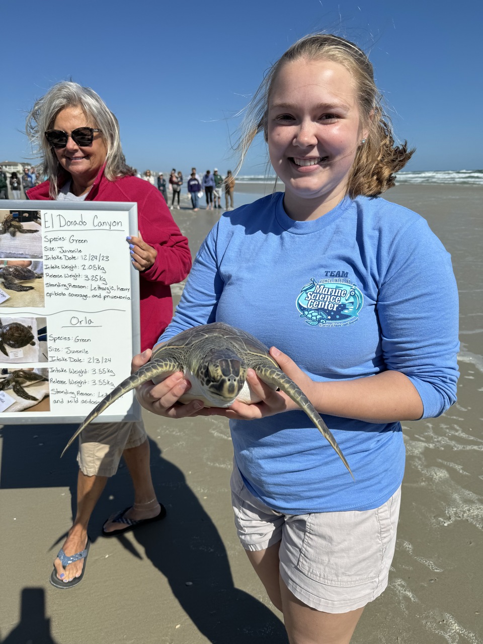 Pictures of Today's Turtle Release in Ponce Inlet