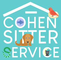 Cohen Sitter Service