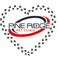 Pine Ridge Pet Clinic