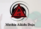 Mushin Aikido