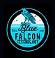 Blue Falcon Mobile Mechanics
