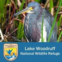 Lake Woodruff National Wildlife Refuge